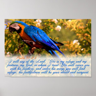 Skriptutskrift: Psalm 91:2,4 med Blue Macaw Poster