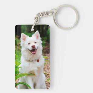 Skriv Hund minnessymbol - citatfoto