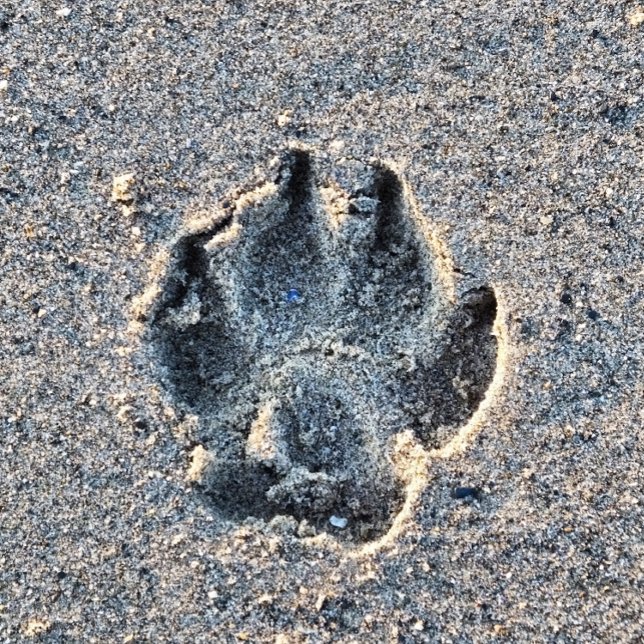 SKRIV I SAND KAKELPLATTA (Skapare uppladdad)