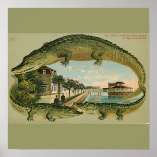 Skriv ut 1905 St Augustine Florida Poster