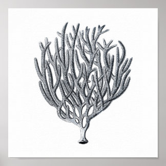 Skriv ut 1 för Sjöliv Group12A Poster