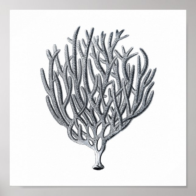 Skriv ut 1 för Sjöliv Group12A Poster (Framsidan)