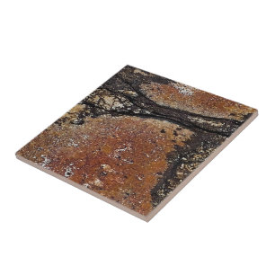 Skriv ut Abstrakten Rustic Charm Kakelplatta