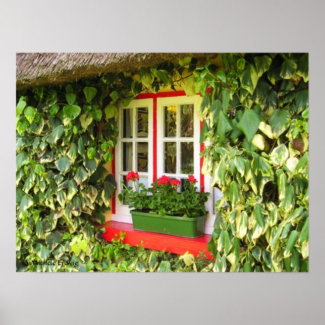 Skriv ut Adare Window Vines Poster (Framsidan)