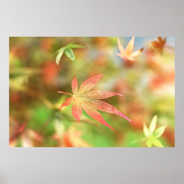 Skriv ut alla filträd poster (Framsidan)