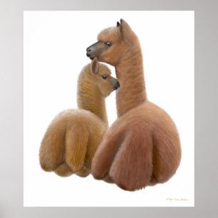 Skriv ut Alpaca Kärlek Poster