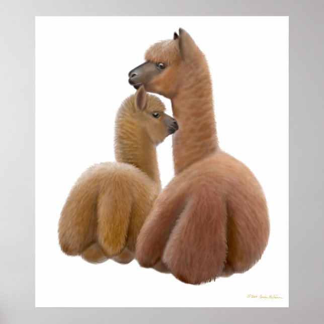 Skriv ut Alpaca Kärlek Poster (Framsidan)