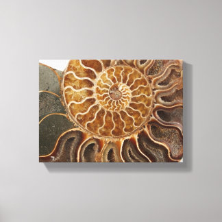 Skriv ut Ammonite Art Canvastryck