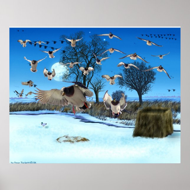 Skriv ut anka Blind Poster (Framsidan)