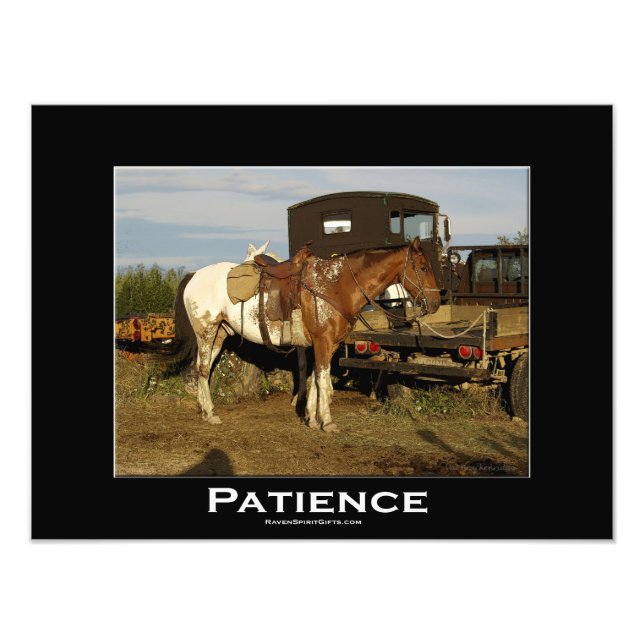 Skriv ut appaloosa Horse Equine Animal Photo Art Fototryck (Framsidan)