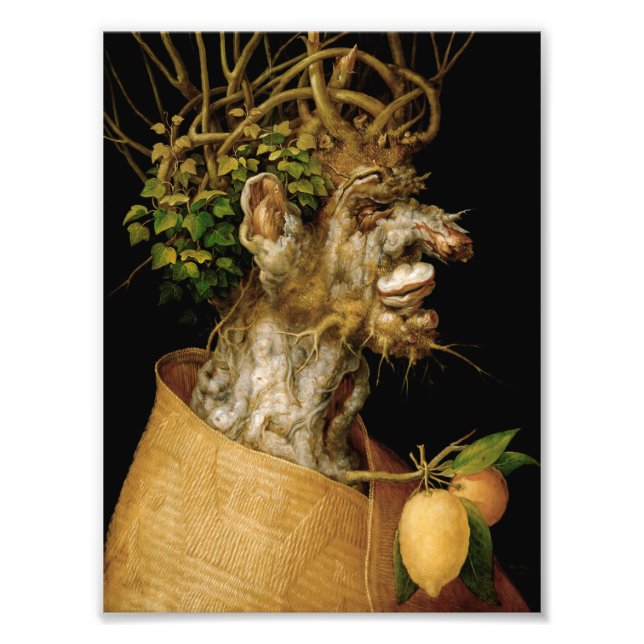 Skriv ut Arcimboldo Winter Fototryck (Framsidan)