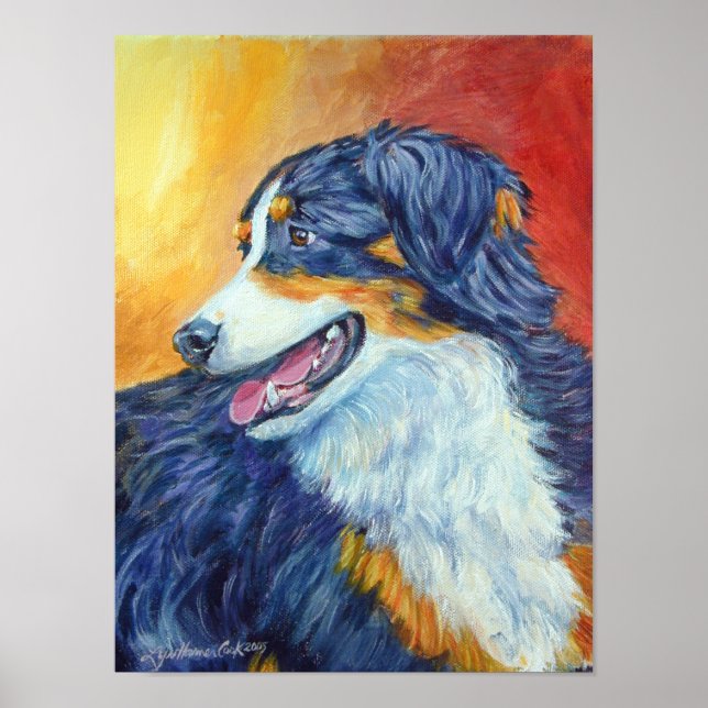 Skriv ut australian shepherd poster (Framsidan)