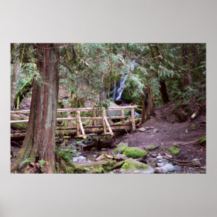 Skriv ut Bäck Falls Walking Bridge Poster