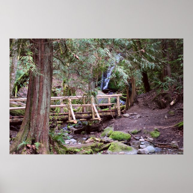 Skriv ut Bäck Falls Walking Bridge Poster (Framsidan)