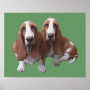 Skriv ut Basset Hound Buddies Poster