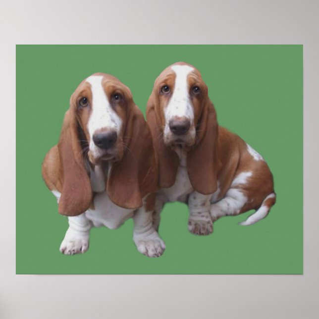Skriv ut Basset Hound Buddies Poster (Framsidan)