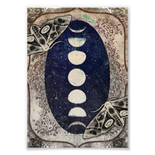 Skriv ut bild av Mystical Vintage Moth Måne Phase Fototryck