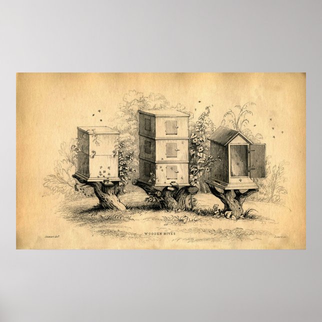 Skriv ut biodlingsbikupor för vintage poster (Framsidan)