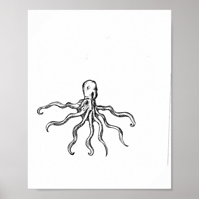 Skriv ut bläckfiskskiss poster (Framsidan)