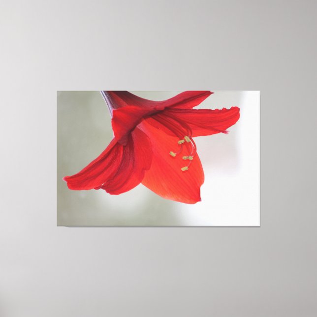 Skriv ut Blommigt för klass Canvastryck (Framsida)