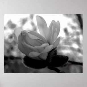 Skriv ut bloom vår poster