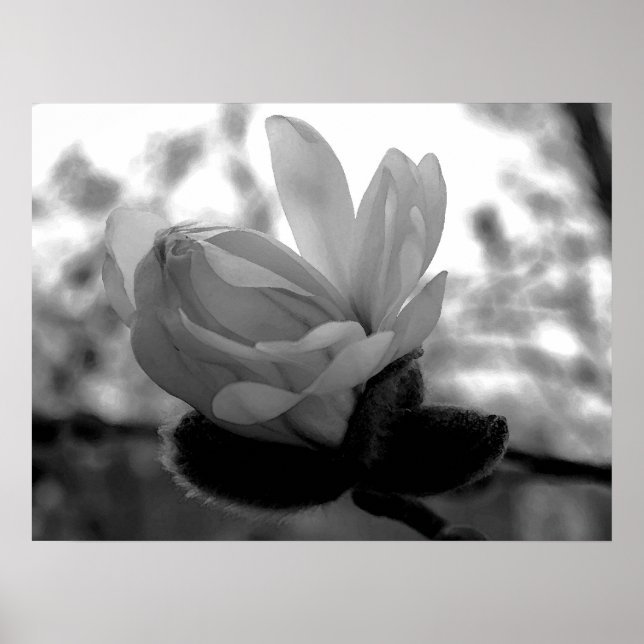 Skriv ut bloom vår poster (Framsidan)