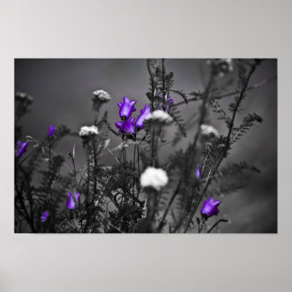 Skriv ut Blue Klockor Mugshot Poster