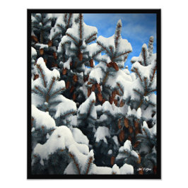 Skriv ut Blue Spruce Snö Cones Fullt Färg Wall Art Fototryck