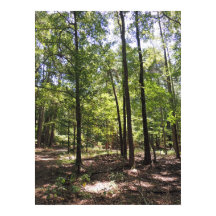 Skriv ut borttappad Acres