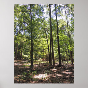 Skriv ut borttappad Acres Poster