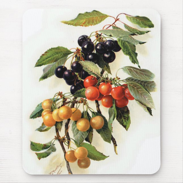 Skriv ut botaniska körsbär musmatta (Framsidan)
