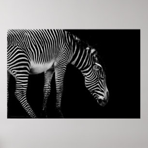 Skriv ut brödspråk poster