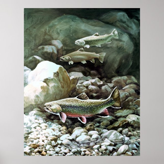 Skriv ut Brook Trout Poster (Framsidan)