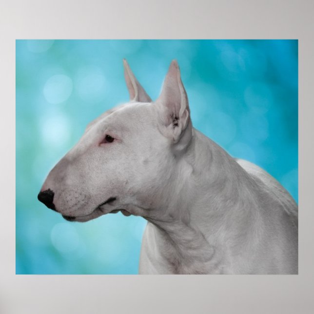 Skriv ut Bull Terrier Poster (Framsidan)
