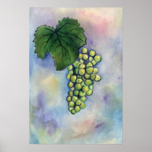 Skriv ut Chardonnay Vin Graps Poster