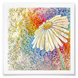 Skriv ut daisy Art Fototryck
