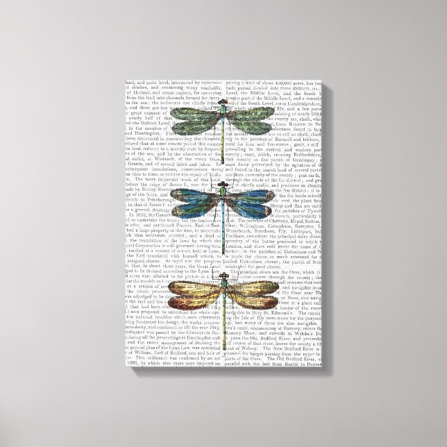 Skriv ut Dragonflies Canvastryck (Framsida)