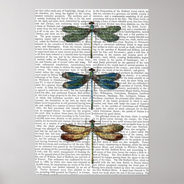 Skriv ut Dragonflies Poster (Framsidan)