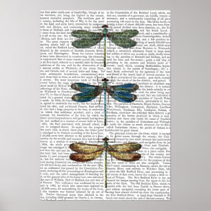 Skriv ut drakonfiler poster