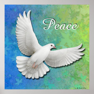 Skriv ut elegant White Peace Dove Poster