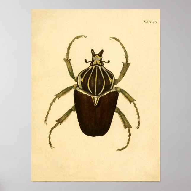Skriv ut "Entomologie I" Poster (Framsidan)