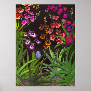 Skriv ut Equitant Oncidium Tolumnia Orchids Poster