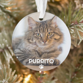 Skriv ut ett foto Pet Namn Paw-minne