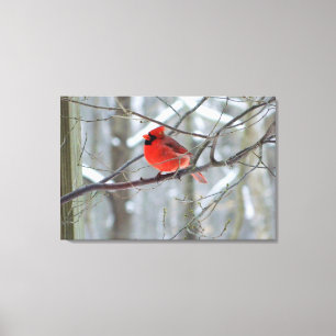Skriv ut färgen Cheery Red Cardinal Wrapped Canvas