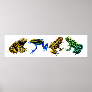 Skriv ut färglöst gift, grodor poster