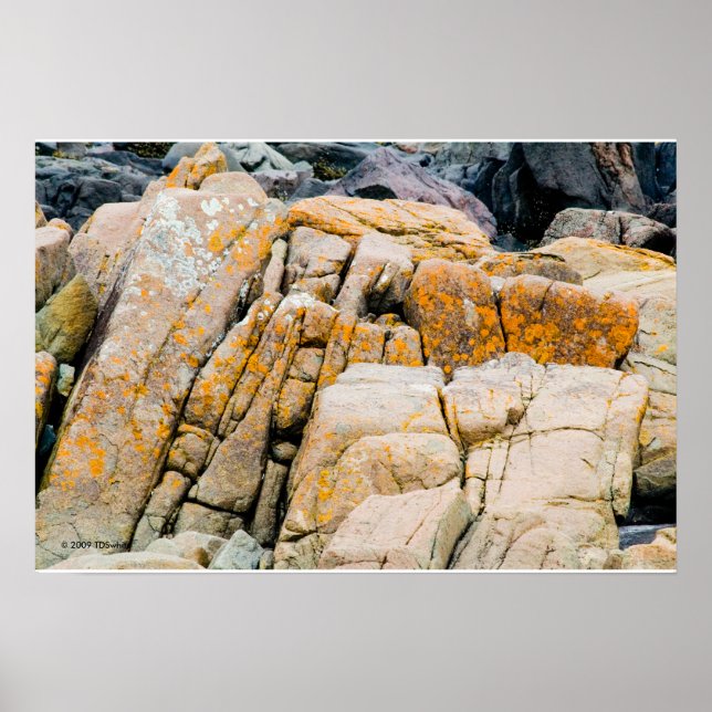 Skriv ut färglöst Sten Poster (Framsidan)