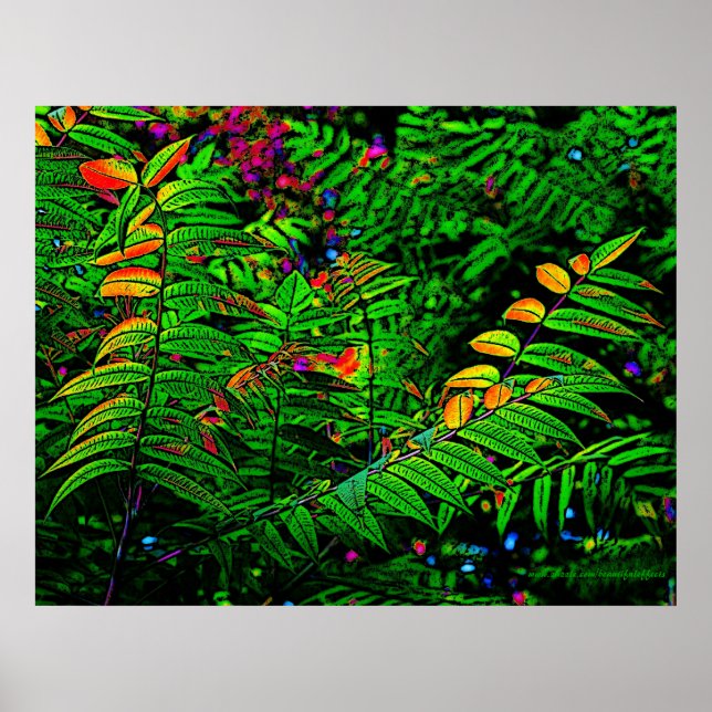 Skriv ut fernern Löv Poster (Framsidan)