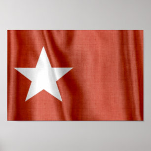 Skriv ut Flagga White Star Poster