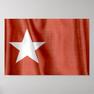 Skriv ut Flagga White Star Poster