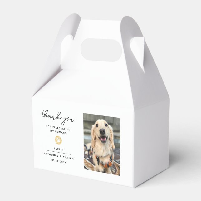 Skriv ut fotoblad för Tack Pet-fotoblad Presentaskar (Framsidan Sidan)